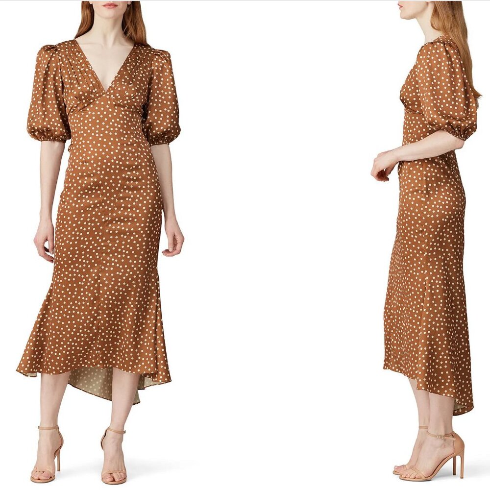 Ronny Kobo Polka Dot Dress